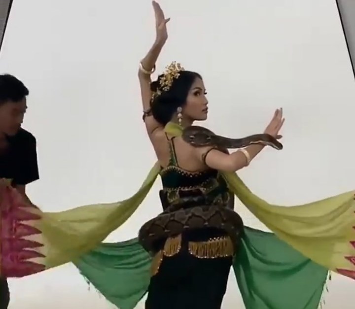 Lakukan Pemotretan Dengan Ular