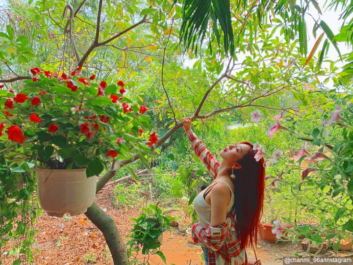 Momen di Vietnam
