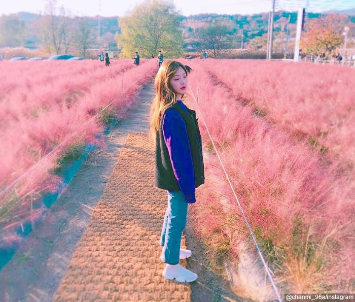 Dikelilingi Padang Rumput Pink
