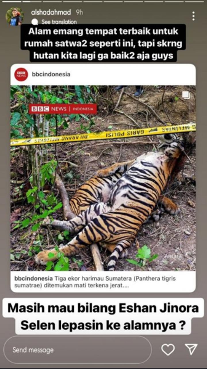 PAlshad Ahmad Malah Tuai Kritik Usai Komentari Kabar 3 Harimau Mati Di Aceh, Kenapa?