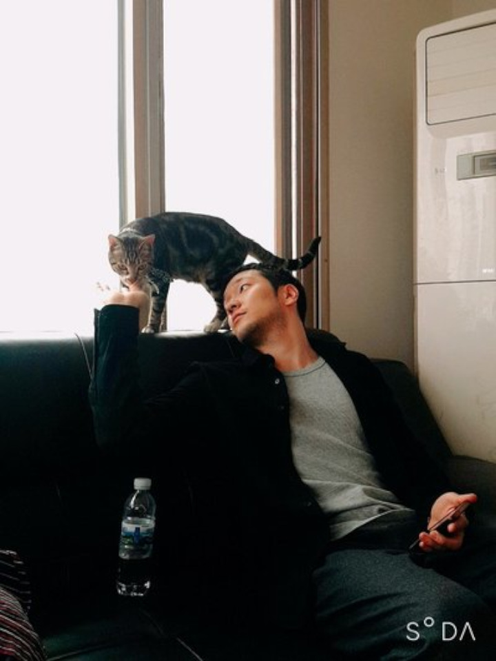 pecinta kucing