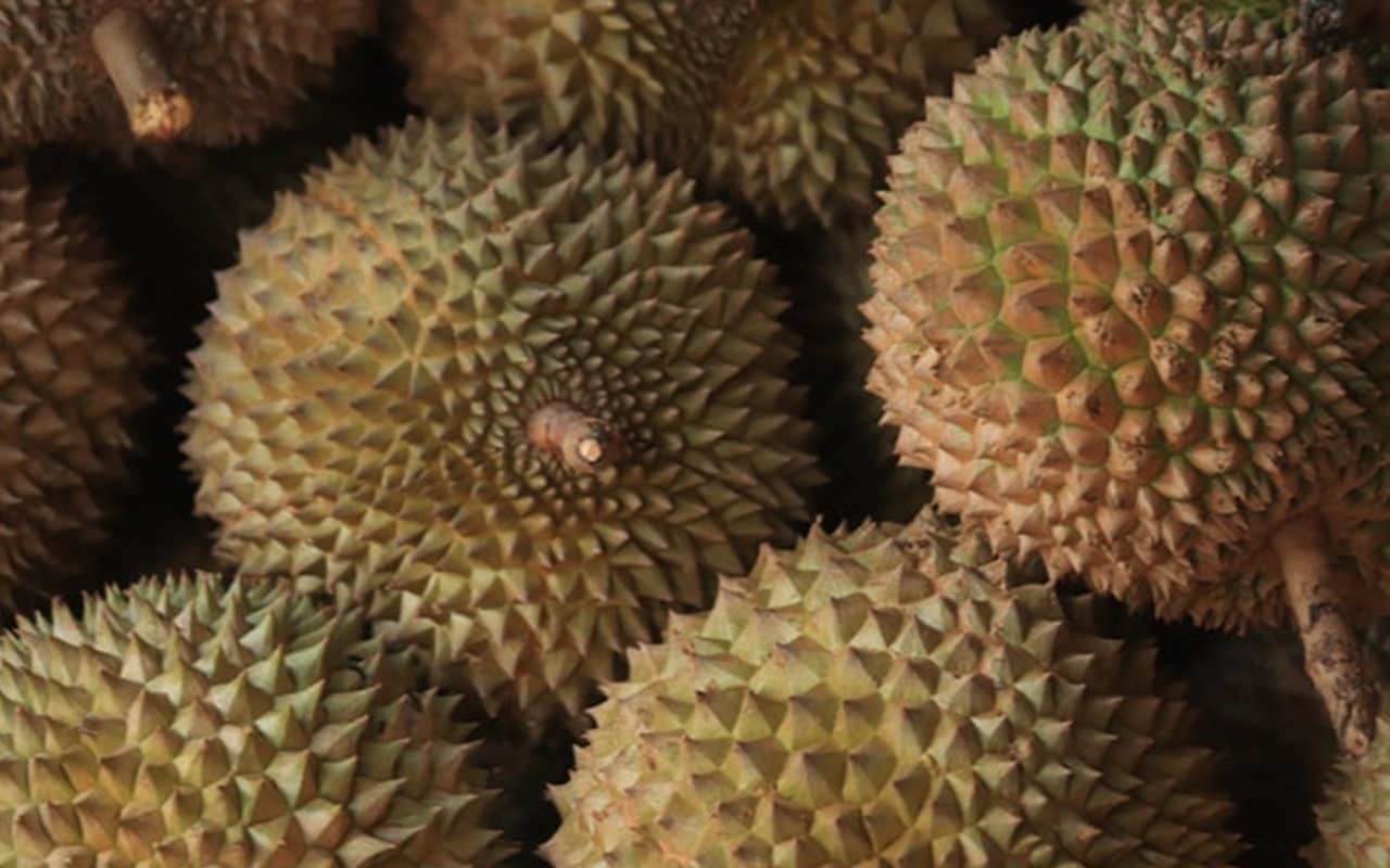 Tiongkok Minta Thailand Perbaiki Masalah Jejak COVID-19 di Durian Hingga Ancam Beri Larangan Ekspor