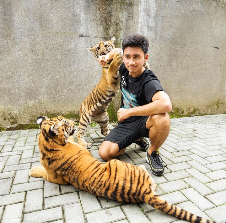 Disebut Pawang Harimau