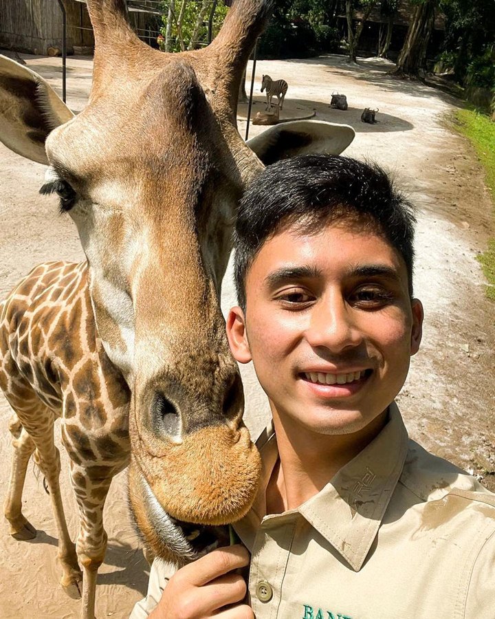 Selfie Uwu Bersama Jerapah