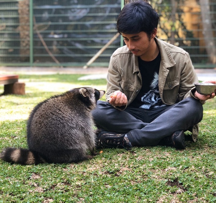 Nongkrong Asik Bareng Rakun