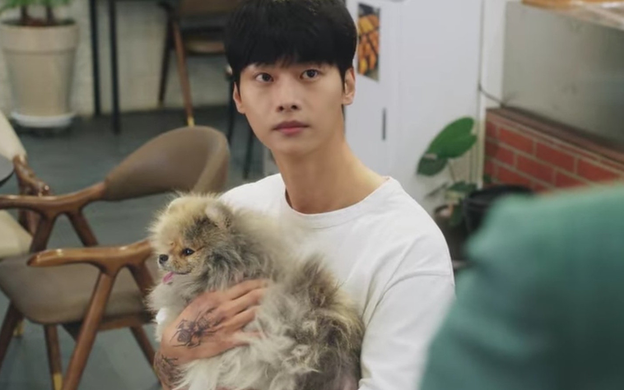 Menguras Emosi, Penampilan Anjing N VIXX di 'Tomorrow' Jadi Perbincangan