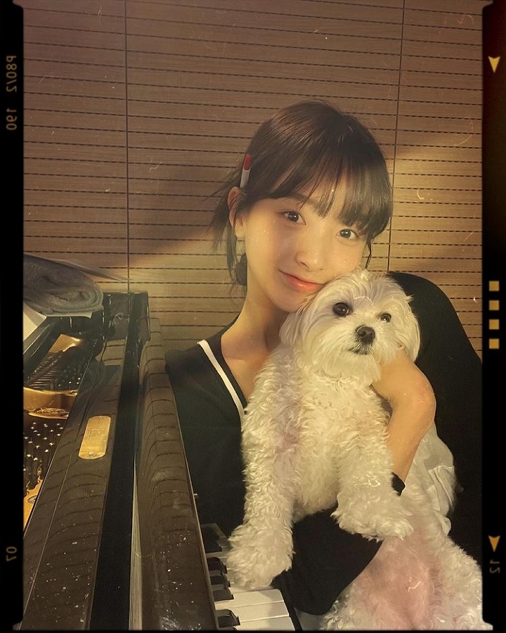 Pecinta anjing