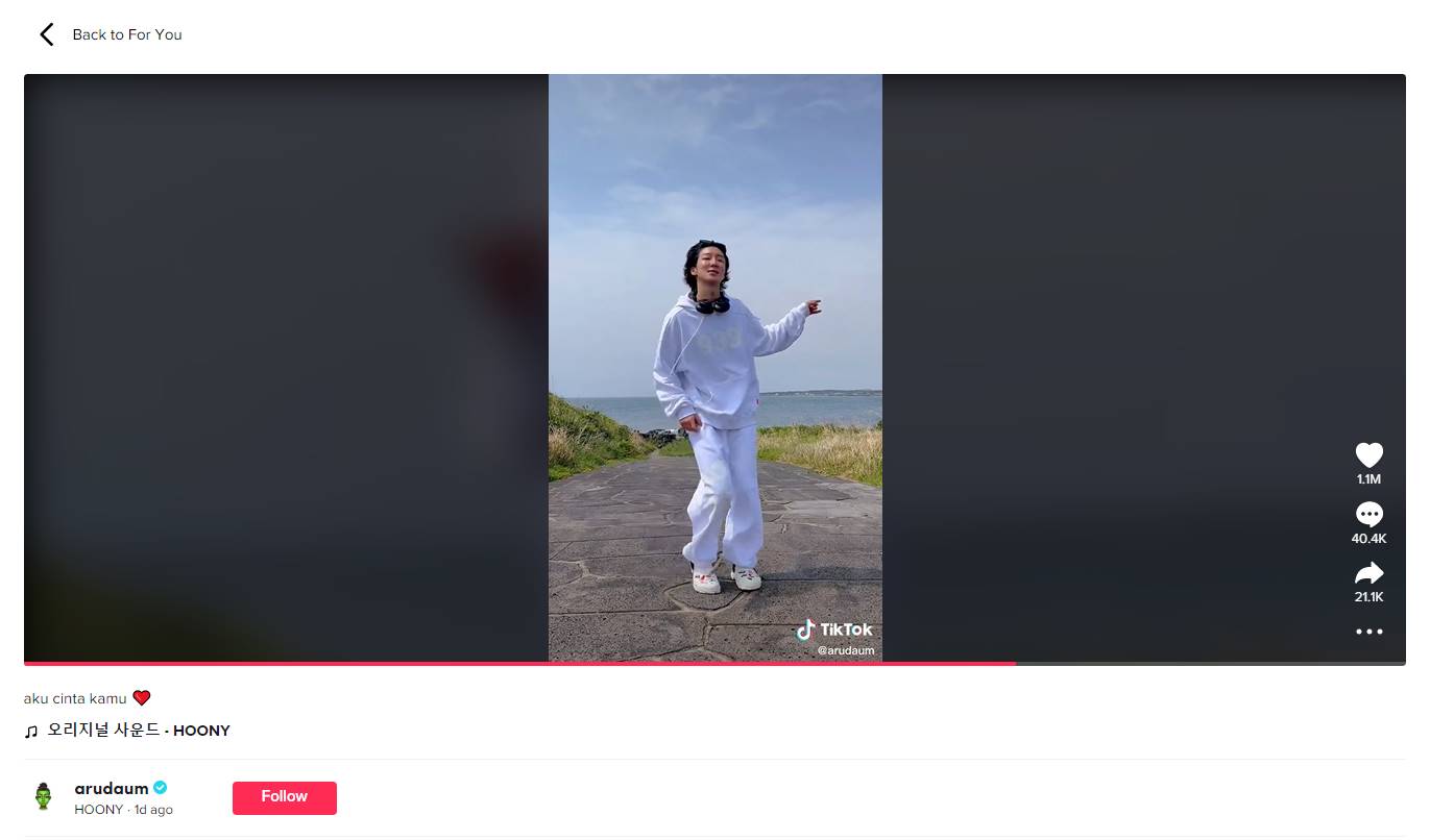 Lee Seung Hoon WINNER membuat video TikTok dengan lagu Indonesia Timur