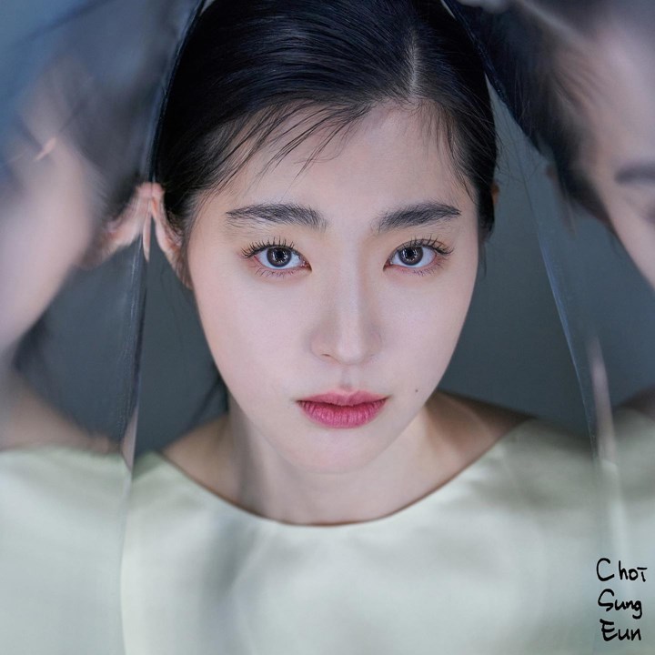 Satu agensi dengan Lee Si Young