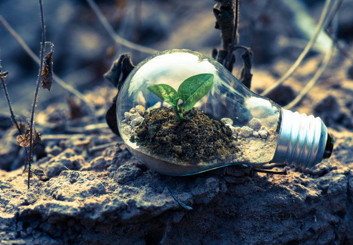 Bentuk Implementasi Ekonomi Hijau