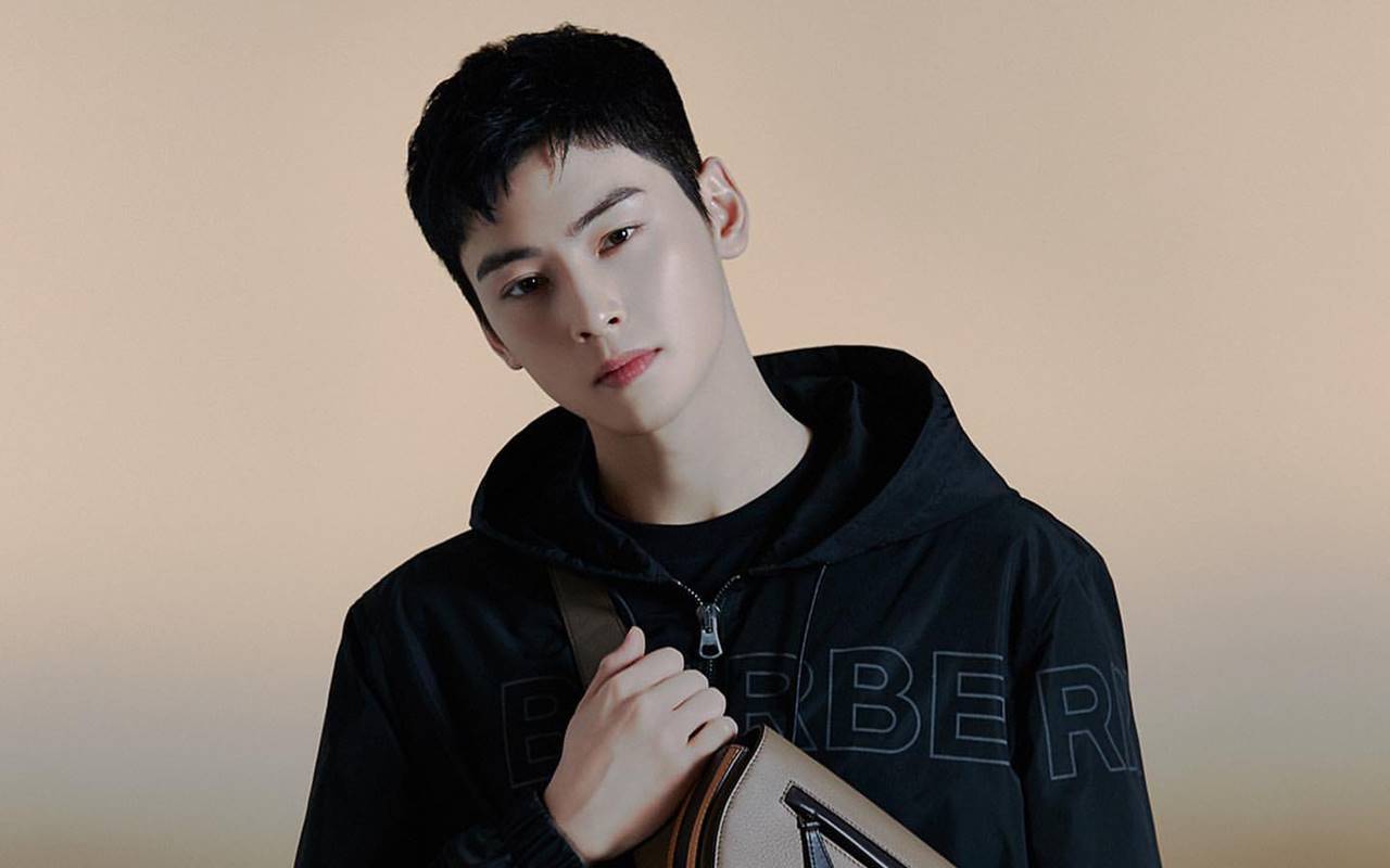 Beda Drastis, Cha Eun Woo ASTRO Punya Cara Tak Sama Post Foto di Instagram dan Twitter