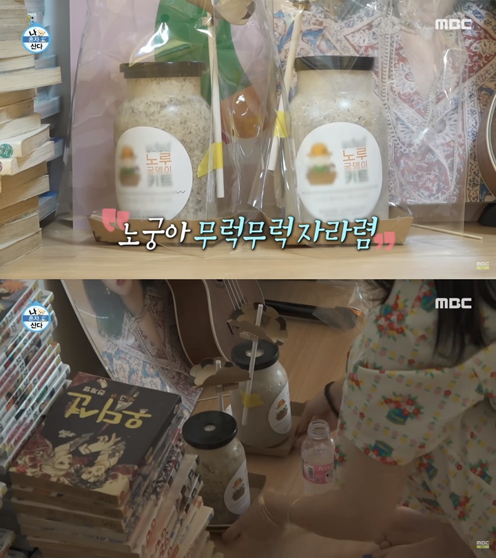 Menanam Jamur Ala Soyeon