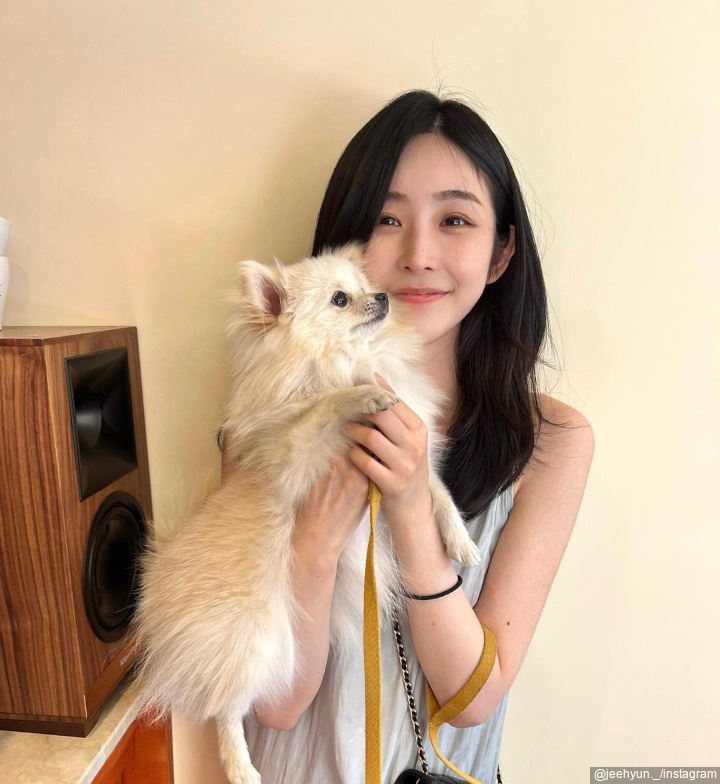 pecinta anjing