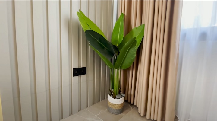 Pohon pisang di pojok kamar