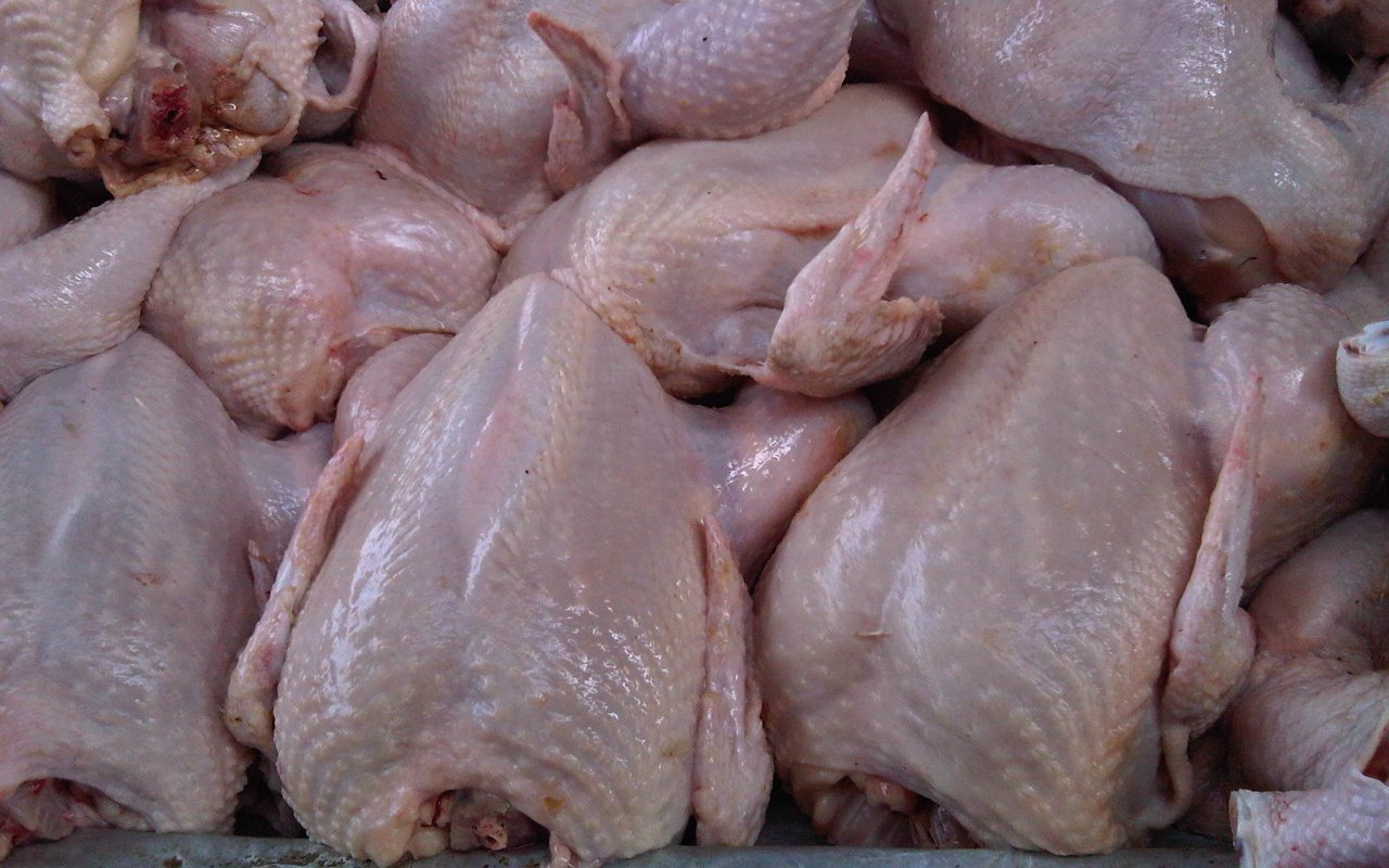 Malaysia Setop Ekspor Ayam Mulai 1 Juni, Pemerintah Sesalkan Kenaikan Harga Dalam Negeri