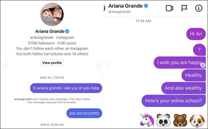 Putri Artika Sari Devi Nekat DM Ariana Grande Untuk Sampaikan Ini, Endingnya Berbuah Manis
