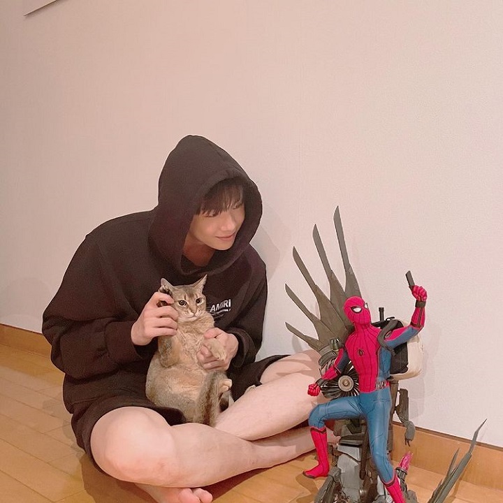 Pecinta Kucing