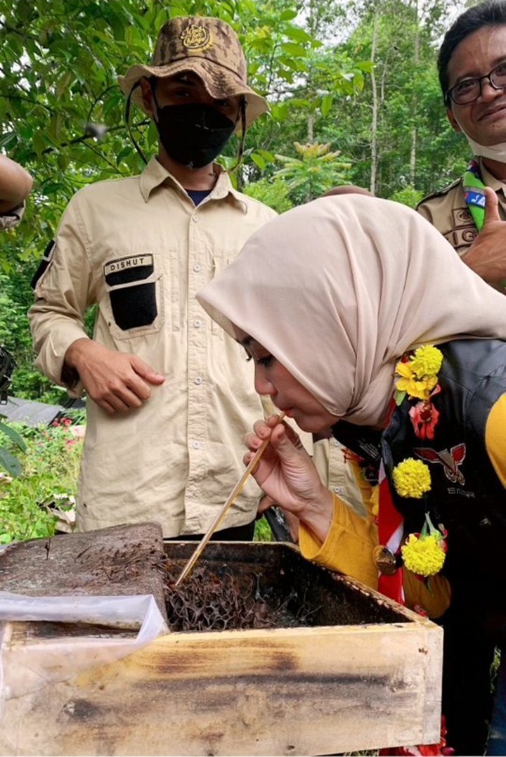 Minum Madu Langsung dari Sarangnya