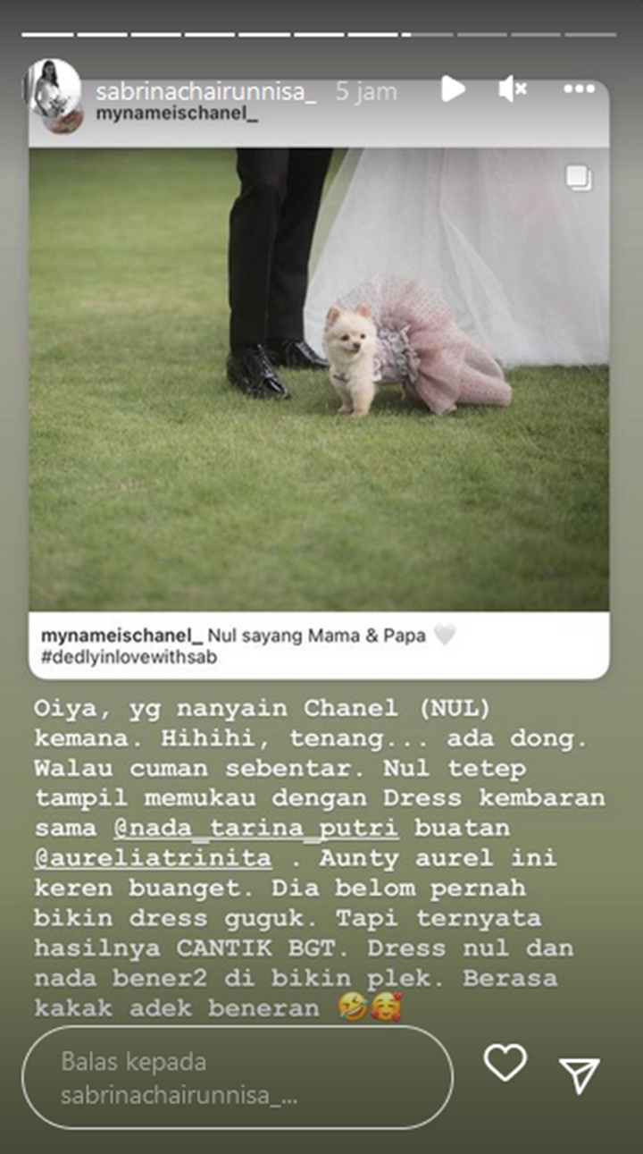 Gaun Lilac Nada Tarina Ternyata Plek Ketiplek dengan Milik Anjing Peliharaan Sabrina Chairunnisa