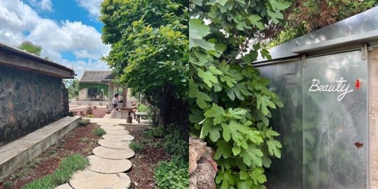 Terkesan Tak Terurus, Desain Interior Toilet Kafe Milik Park Han Byul di Pulau Jeju Tuai Sorotan