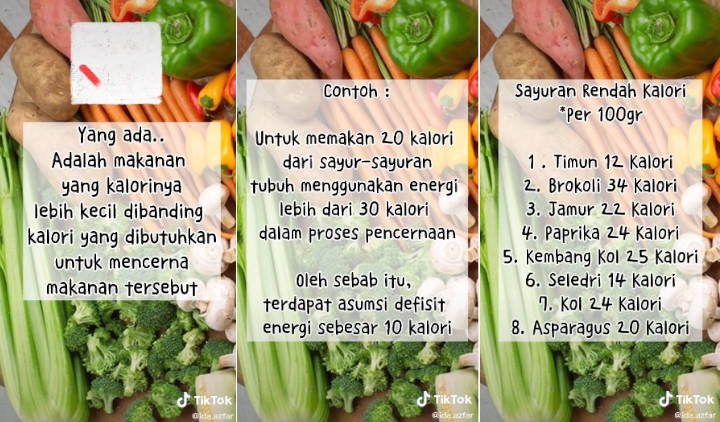 Lebih Bijak Memilih Makanan