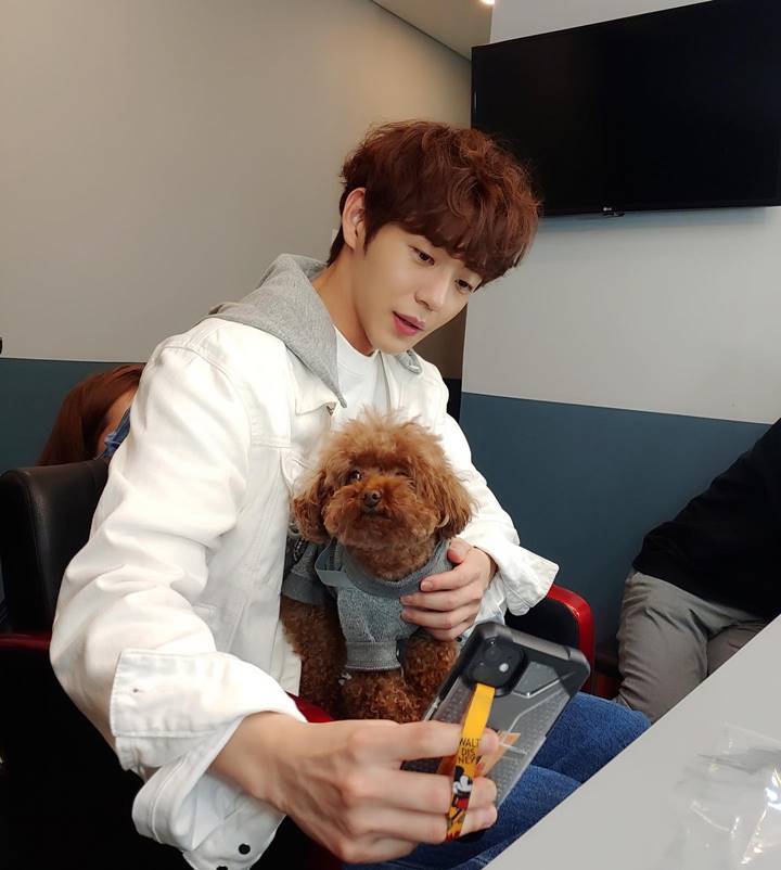 <i>Boyfriend Material</i>
