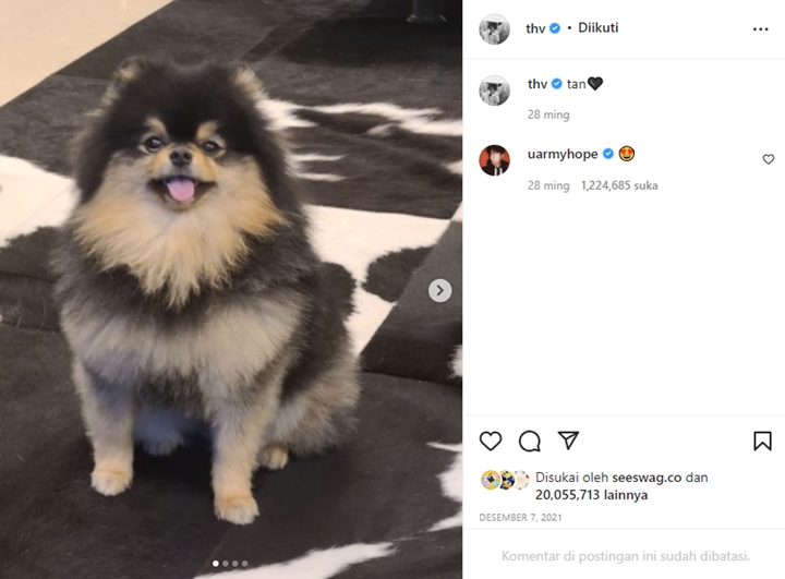 Bukan Foto Ganteng atau Seksi, Postingan Instagram V BTS Ini Tembus 20 Juta Likes