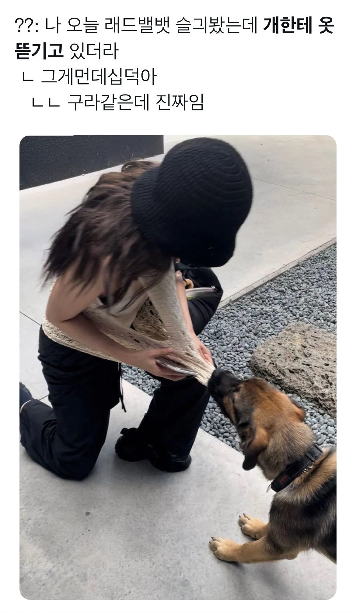 Potret baju Seulgi Red Velvet digigit anjing