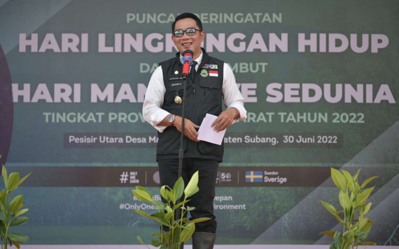 Ratusan Hektare Tanah Pesisir Jabar Kini Jadi Lautan, Ridwan Kamil Ajak Tanam Mangrove