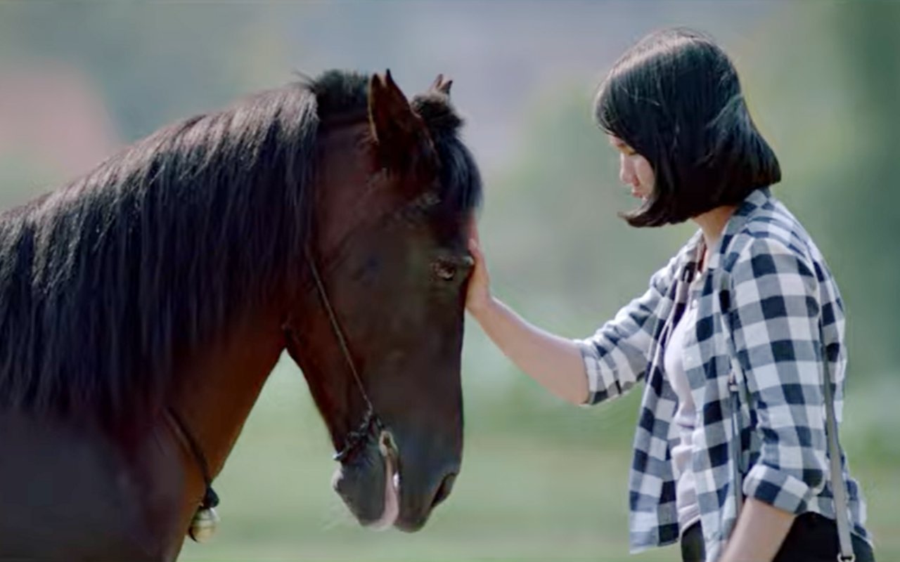 Dianggap Kuda Pembawa Sial, Trailer Film 'JO Sahabat Sejati' Disambut Reaksi Sedih 