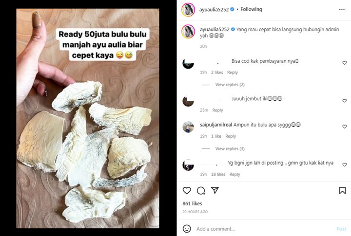 Gokil! Ayu Aulia Jual Bulu-Bulu Manja Seharga Rp 50 Juta, Ada yang Minat?
