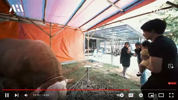 Atta Halilintar Santuy Ameena Nyaris Diseruduk Sapi Megalodon, Aurel Hermansyah Ngamuk