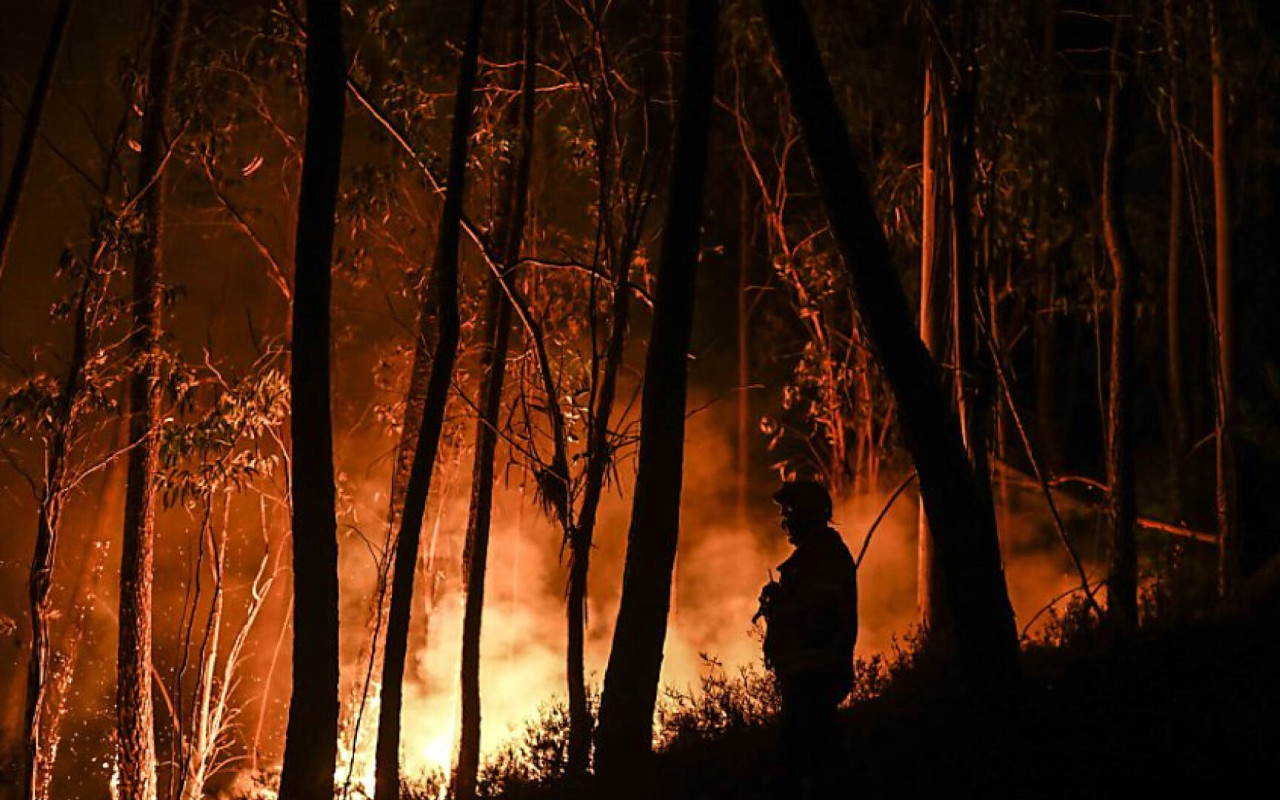 Portugal Darurat Gelombang Panas, 3.000 Petugas Dikerahkan Padamkan Kebakaran Hutan