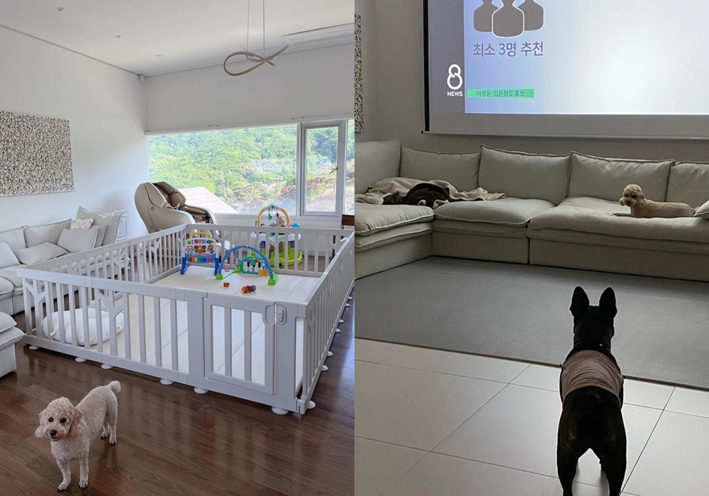 Populer Berkat \'Extraordinary Attorney Woo\', Desain Rumah Modern Kang Ki Yong Tuai Sorotan