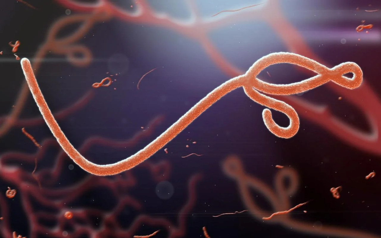 Bukan Virus Ebola Maupun Marburg, Tanzania Laporkan Penyakit Misterius yang Sudah Makan Korban
