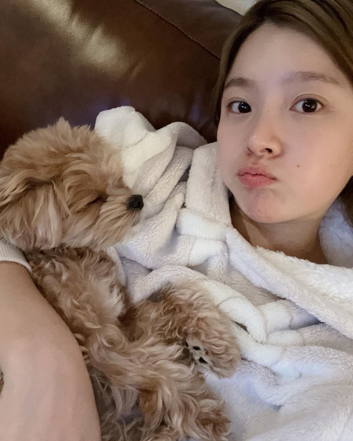 Pecinta Anjing