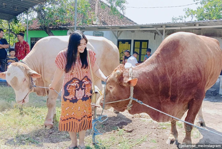 Ramaikan Iduladha dengan Kurban