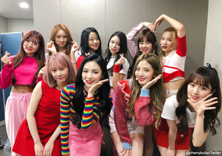Cherry Bullet