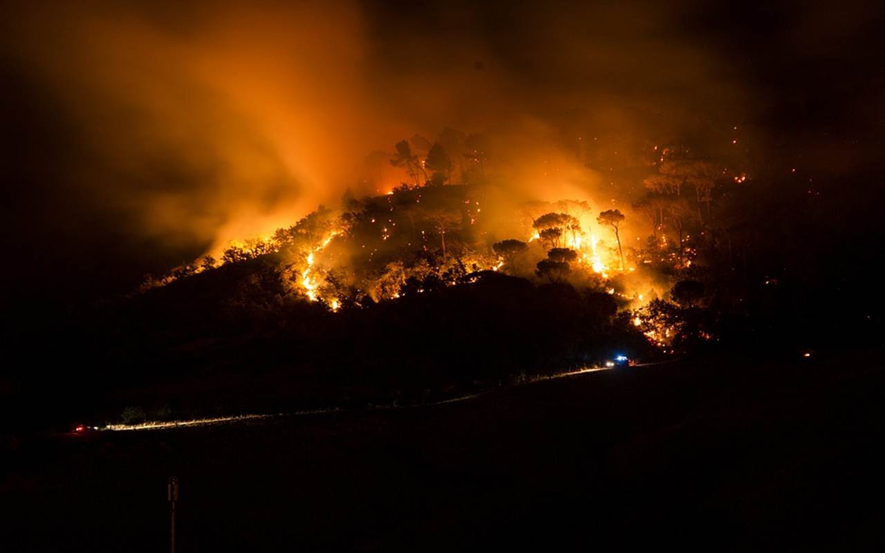 Perusahaan Reboisasi Sebabkan Kebakaran Hutan di Spanyol Hanguskan 14.000 Hektar