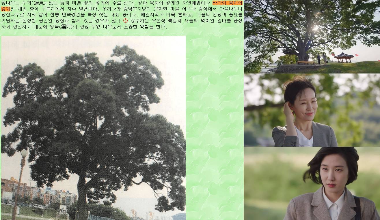 Hubungan kasus pohon dengan pertemuan Park Eun Bin serta Jin Kyung di \