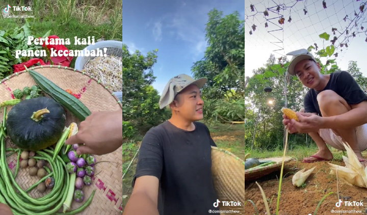 Tips Berkebun Buat Para Pemula ala Denis