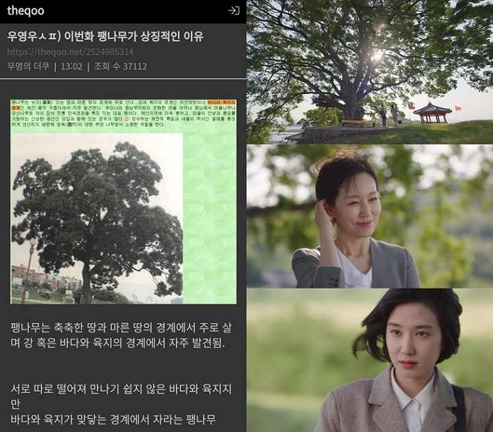 Arti Mengejutkan Pohon Hackberry di \'Extraordinary Attorney Woo\' Jadi Perbincangan Netizen