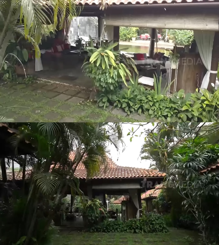 Asri dengan Banyak Pohon