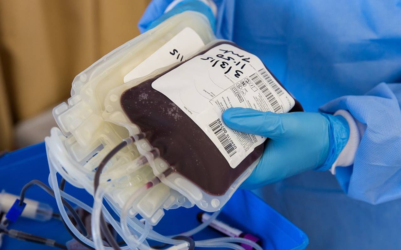 Ditemukan Ratusan Kantong Darah Hasil Donor Terkontaminasi Penyakit Menular, PMI Bilang Begini