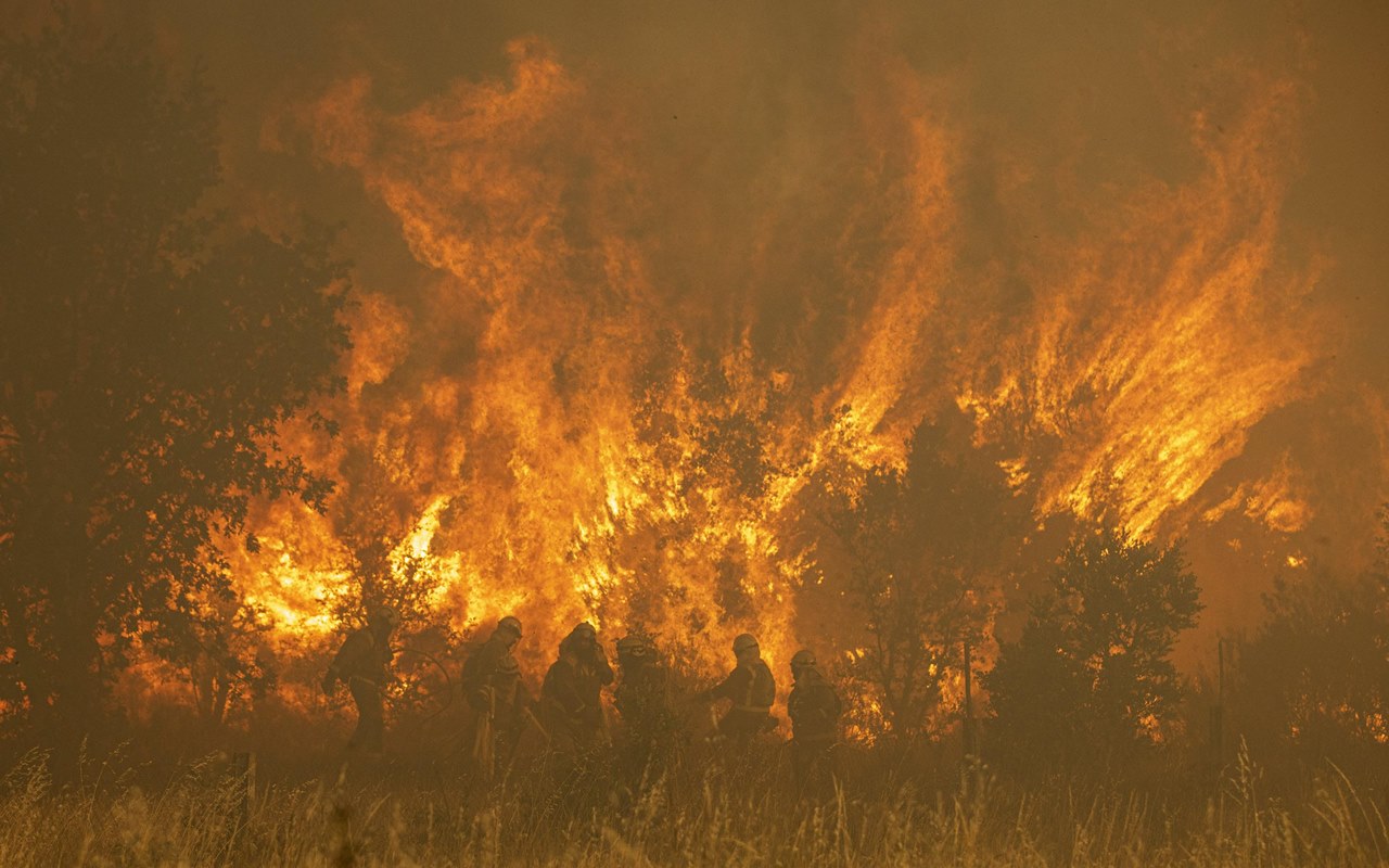 Kebakaran Hutan Besar di Perbatasan Jerman-Ceko Berpotensi Hancurkan Kawasan Wisata