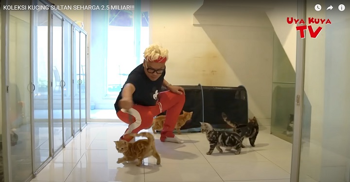 Uya Kuya
