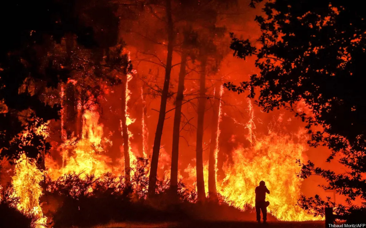 Kebakaran Hutan Meluas, Perdana Menteri Minta Prancis Adaptasi Hadapi Kerusakan Iklim