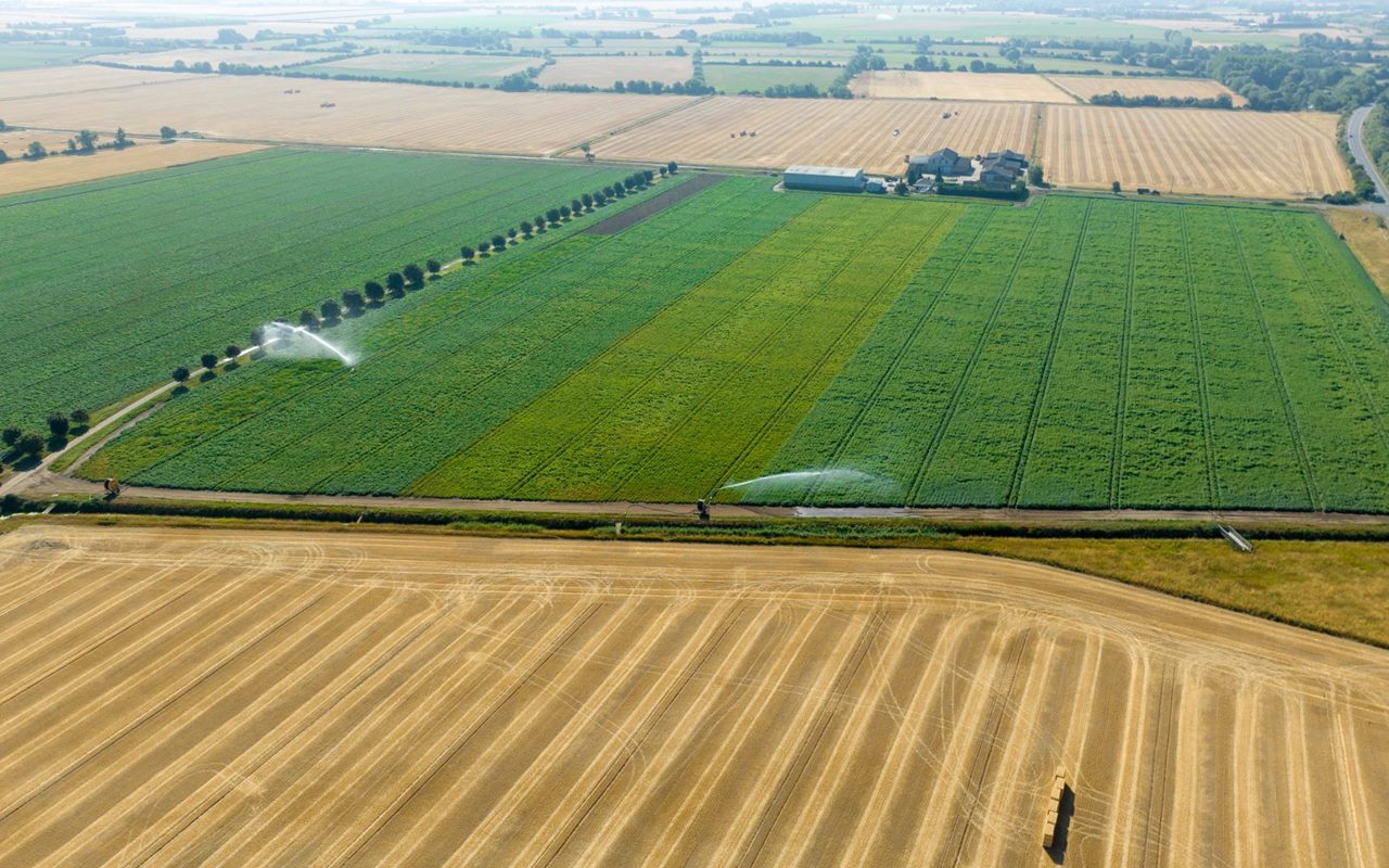 Inggris Hadapi Ancaman Gagal Panen Massal Saat Petani Menuntut Larangan Pipa Air