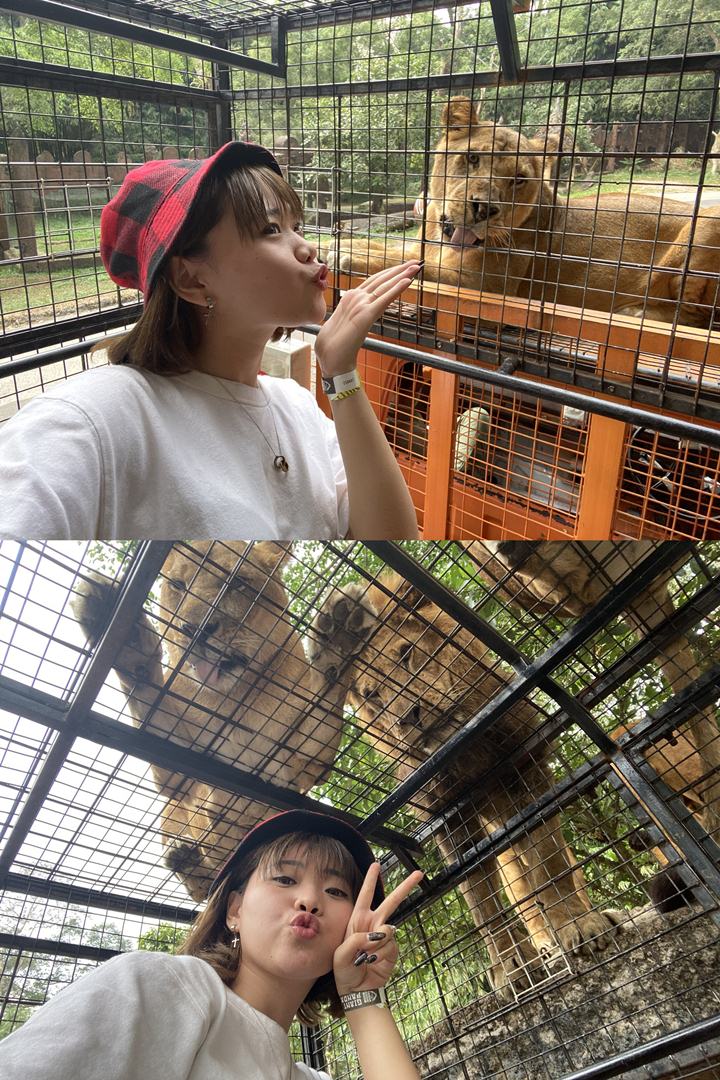 Pergi Ke Taman Safari