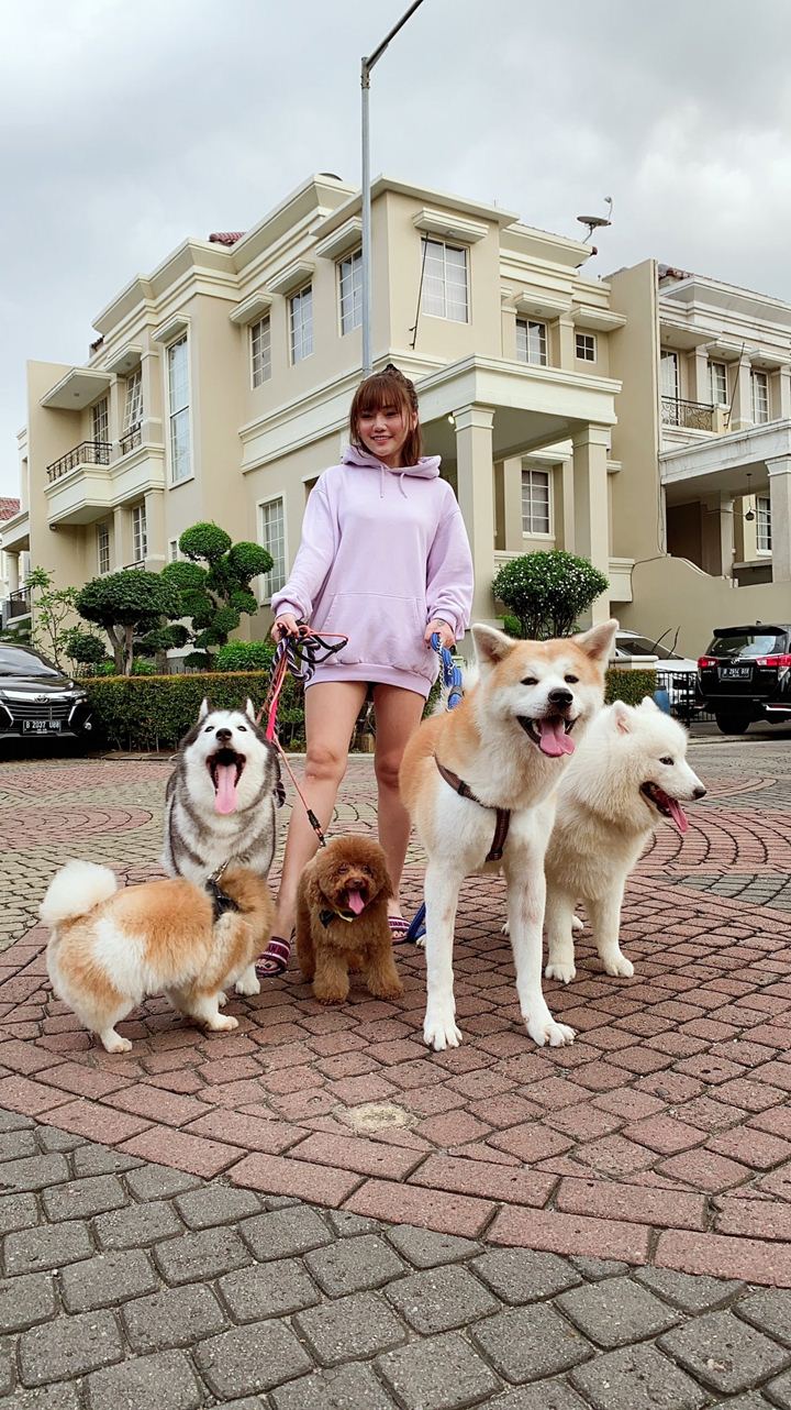 JJS Bareng Anjing kesayangan